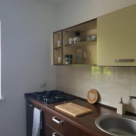 Apartament Mandree *